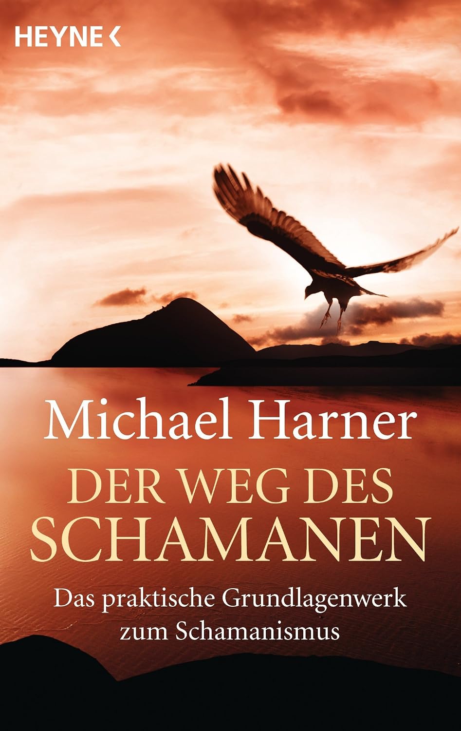 Cover: Der Weg des Schamanen